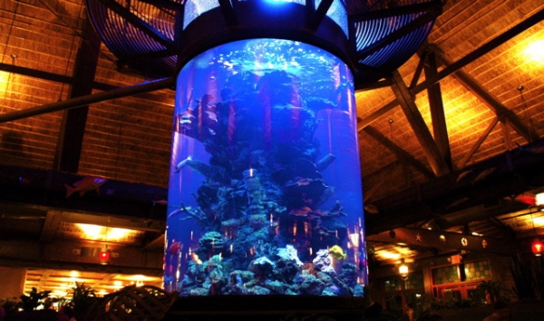 Top-Class-Aquariums-1