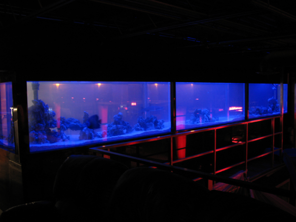 Top-Class-Aquariums-1