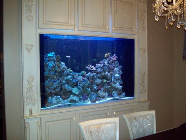 Top-Class-Aquariums-12