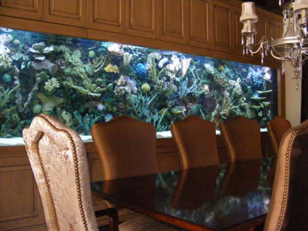 Top-Class-Aquariums-13