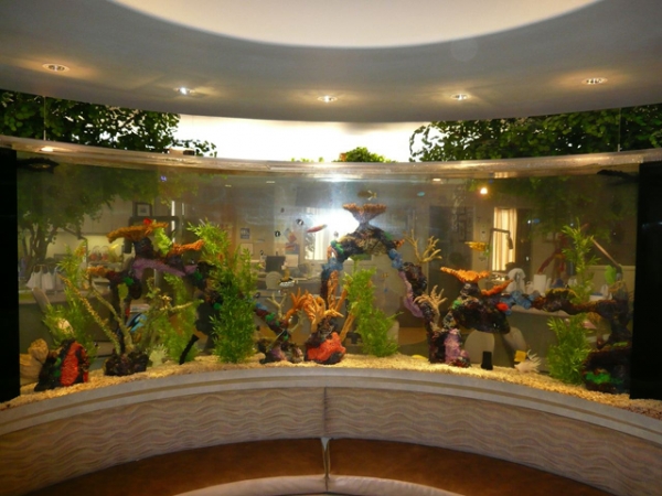 Top-Class-Aquariums-14