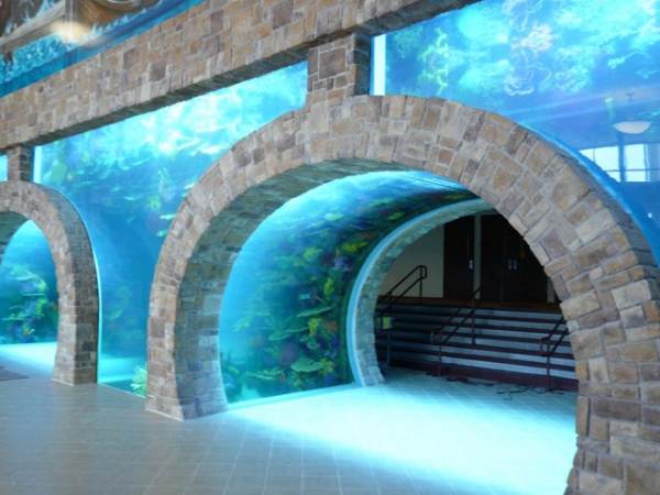 Top-Class-Aquariums-15