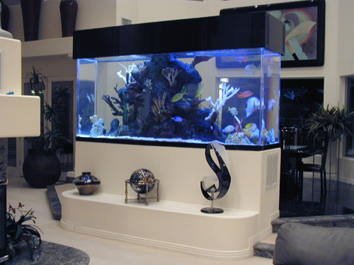 Top-Class-Aquariums-3