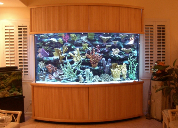 Top Class Aquariums By Acrylic Aquariums – Adorable HomeAdorable Home