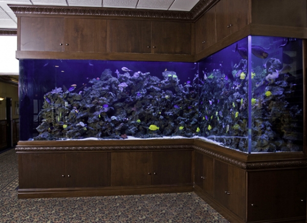 Top Class Aquariums  by Acrylic Aquariums  Adorable Home 