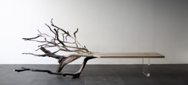 Tree-Bench-Is-A-Natural-Design-Marvel-1