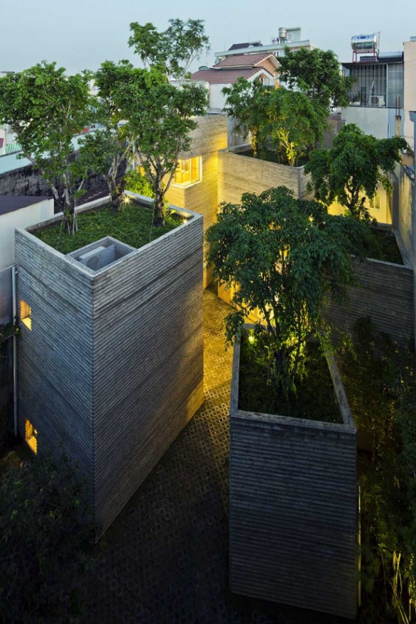 Green Design House For Trees  (13)