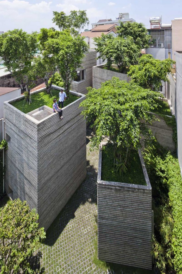 Green Design House For Trees  (3)