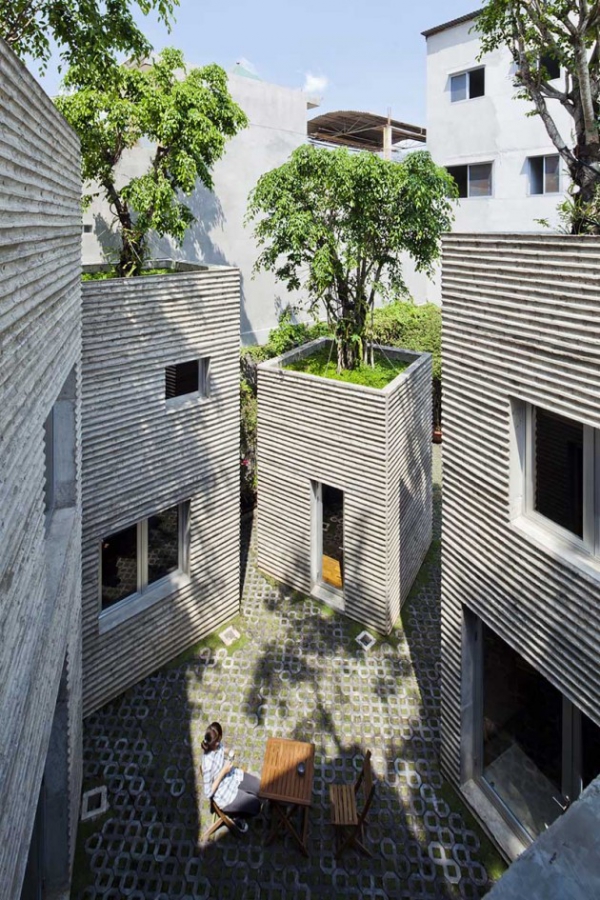 Green Design House For Trees  (4)