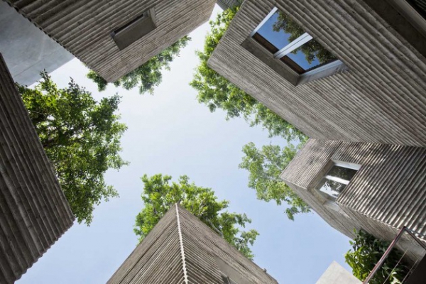 Green Design House For Trees  (5)