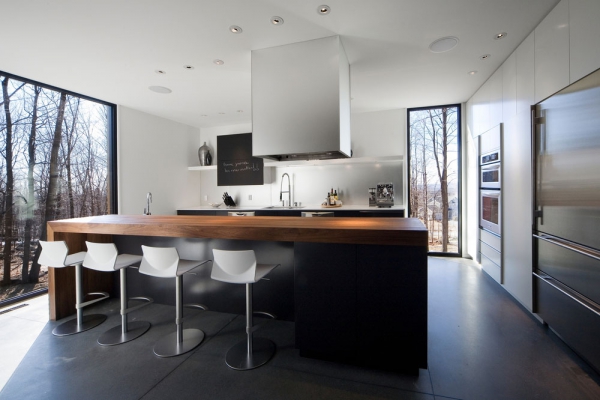 Contemporary Forest Home In Montreal (3)