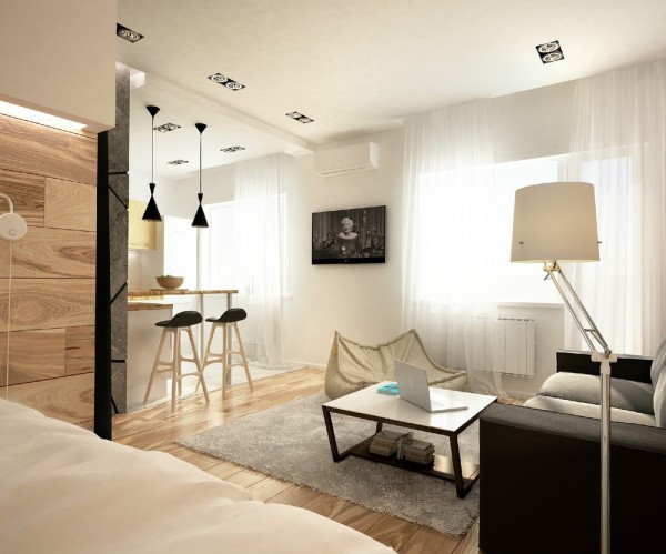 Modern Studio Apartment  (1)