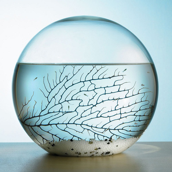 Self Sustaining Ecosphere
