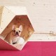 Contemporary Geometric Doghouse On Red Carpet