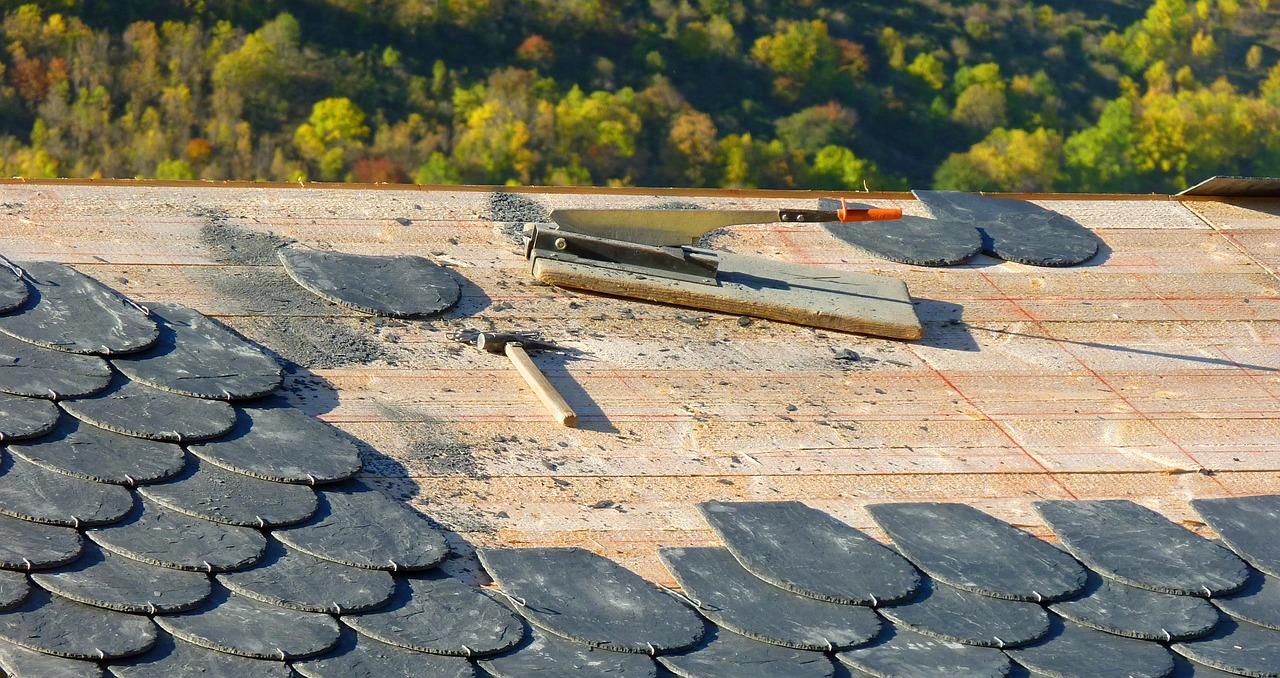 Roof Maintenance