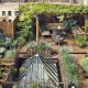 Rooftop Garden Oasis