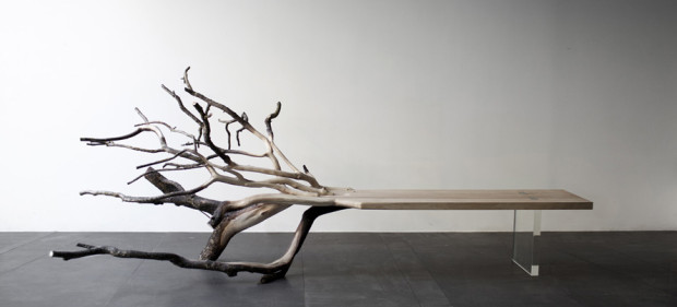 Tree Bench Is A Natural Design Marvel
