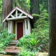 Tiny House In The Forest