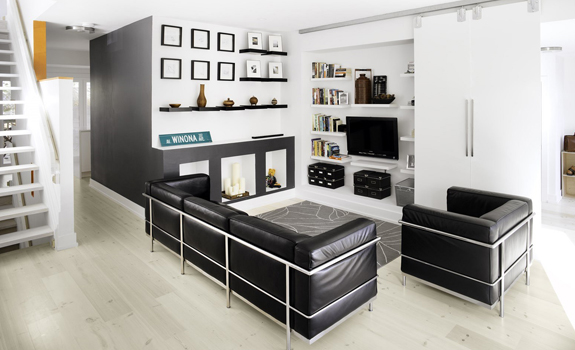 Black And White Living Area