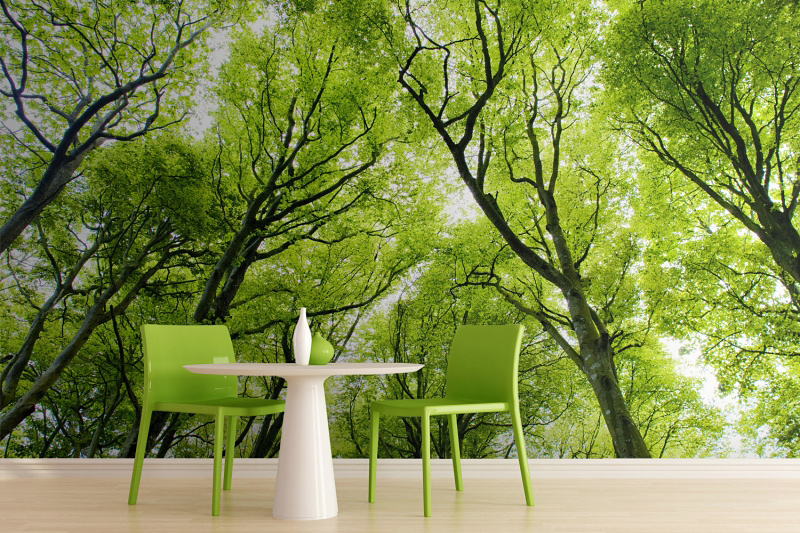 Green-Forest-Wall-Mural