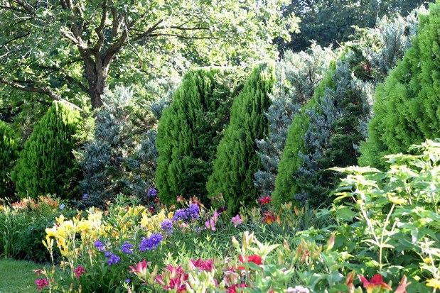 Traditional Landscape With Flowers