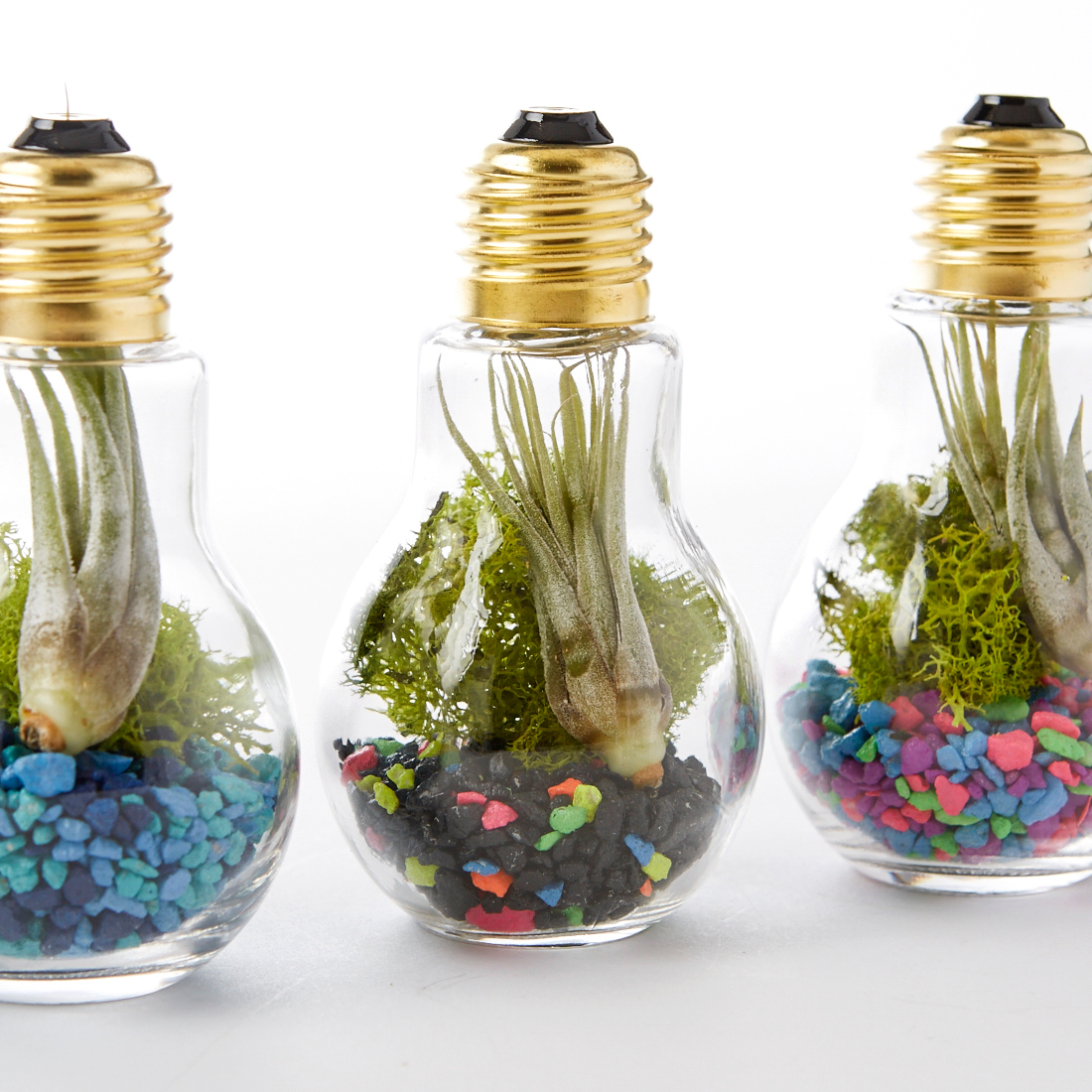 DIY Light Bulb Terrarium – Adorable Home