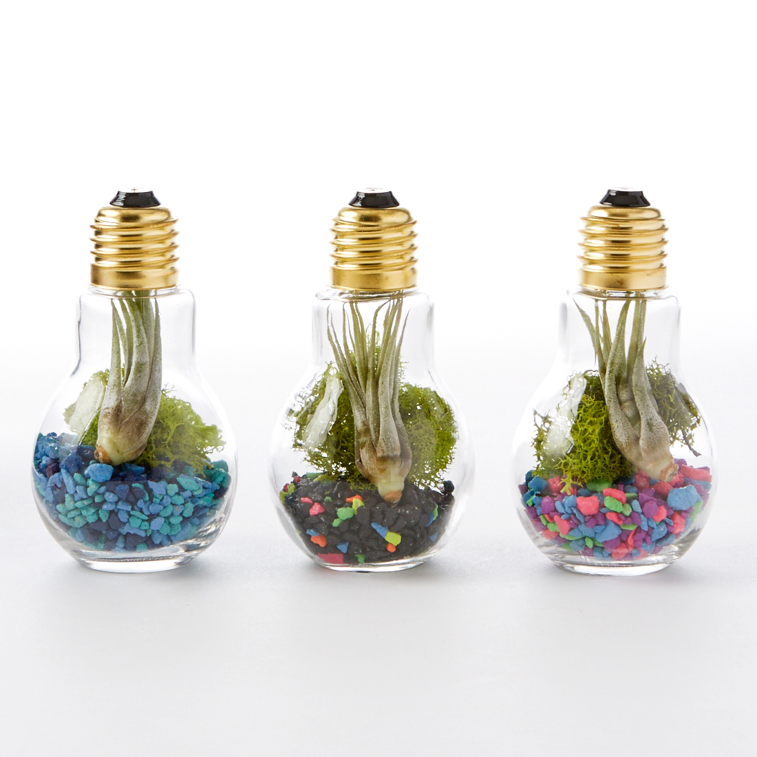 DIY Light Bulb Terrarium – Adorable Home