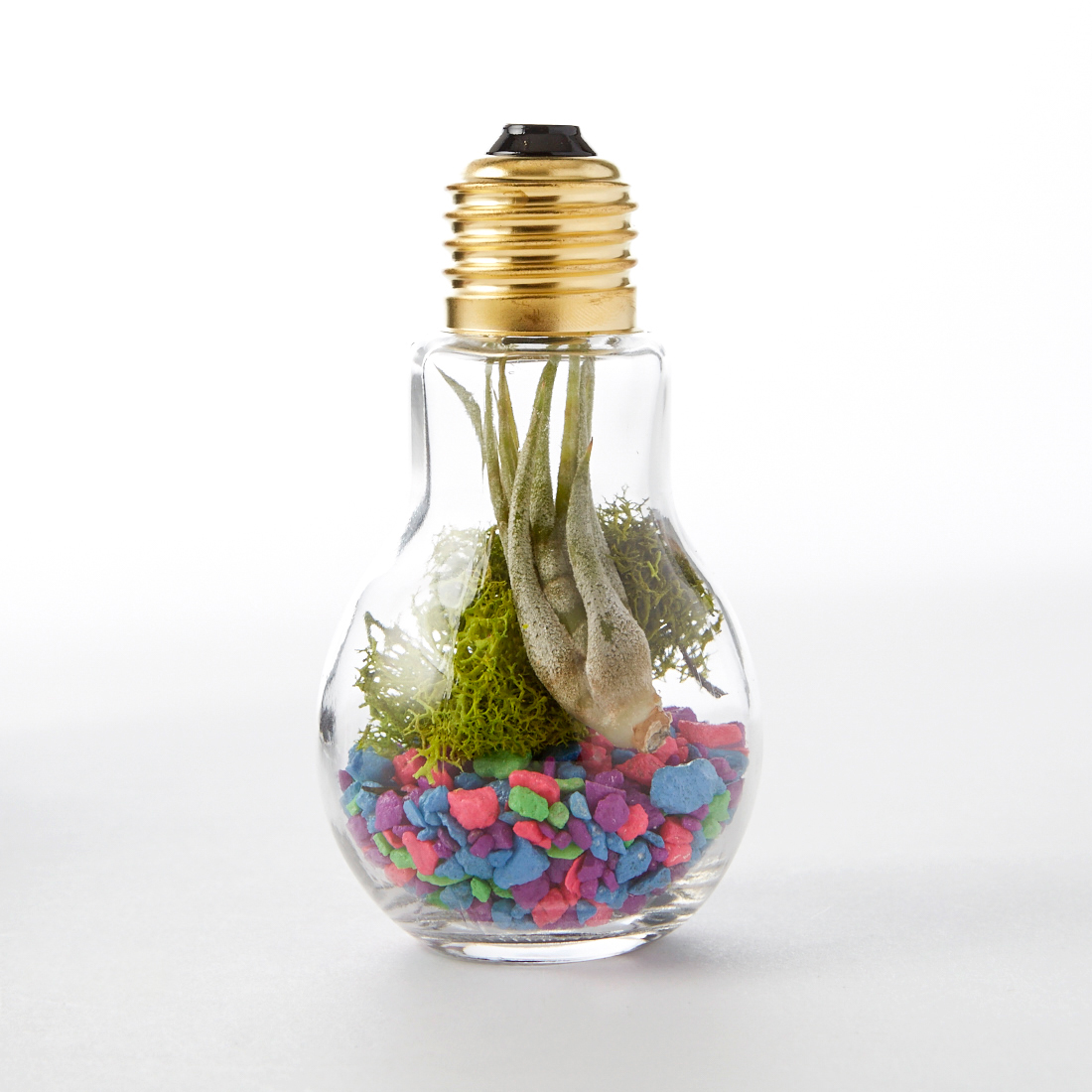 DIY Light Bulb Terrarium – Adorable Home