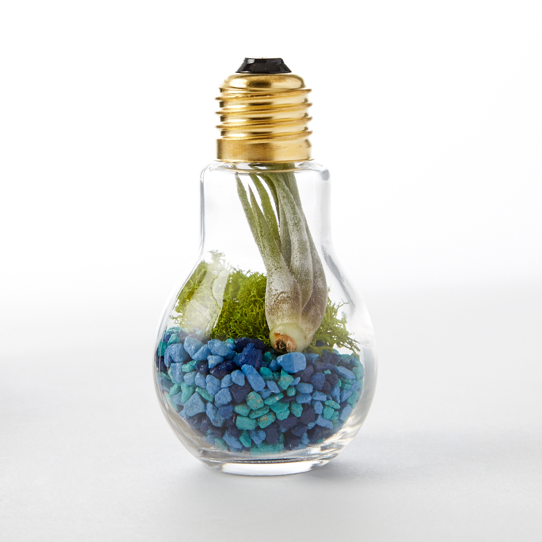 DIY Light Bulb Terrarium – Adorable Home