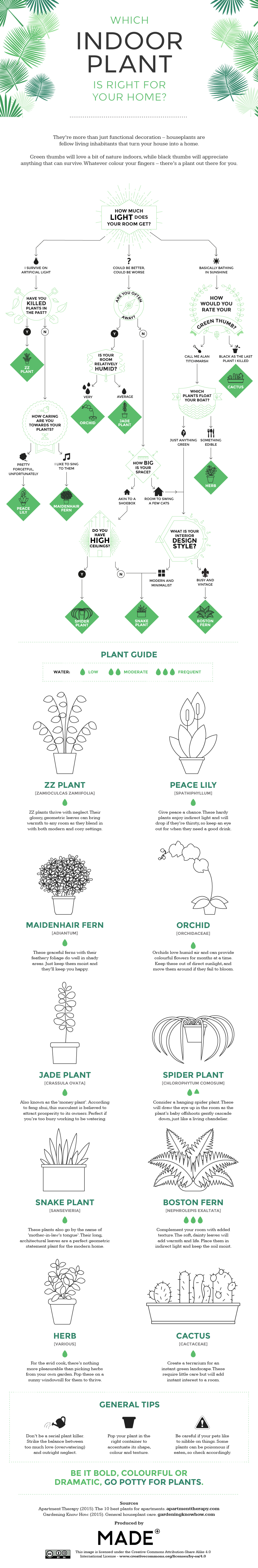 Which Indoor Plant Is The Right - Infographic By Made