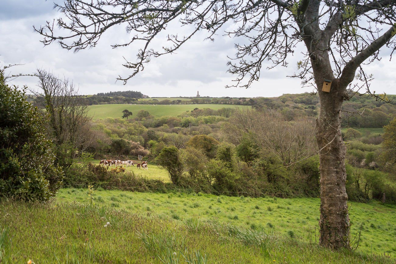 Cornwell, Uk, Hillside Area