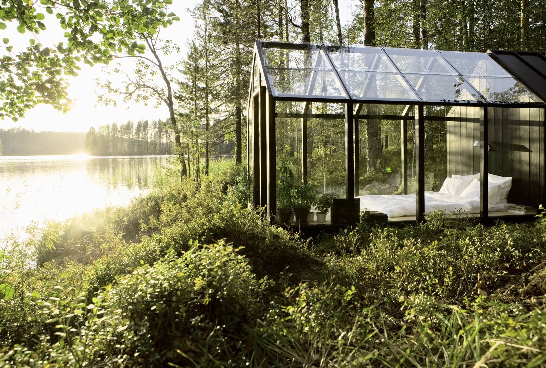 Glass Bedroom In The Forest