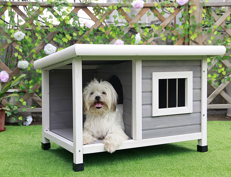 The Most Adorable Dog Houses Ever! (some of them you can ...