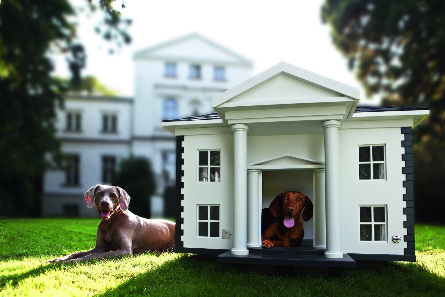 3 story best sale dog house