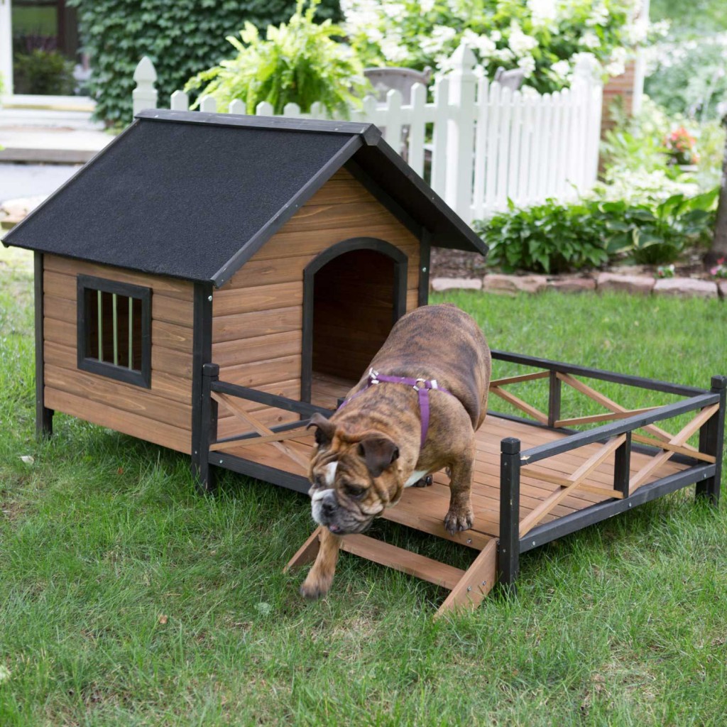 Adorable Dog Houses 14