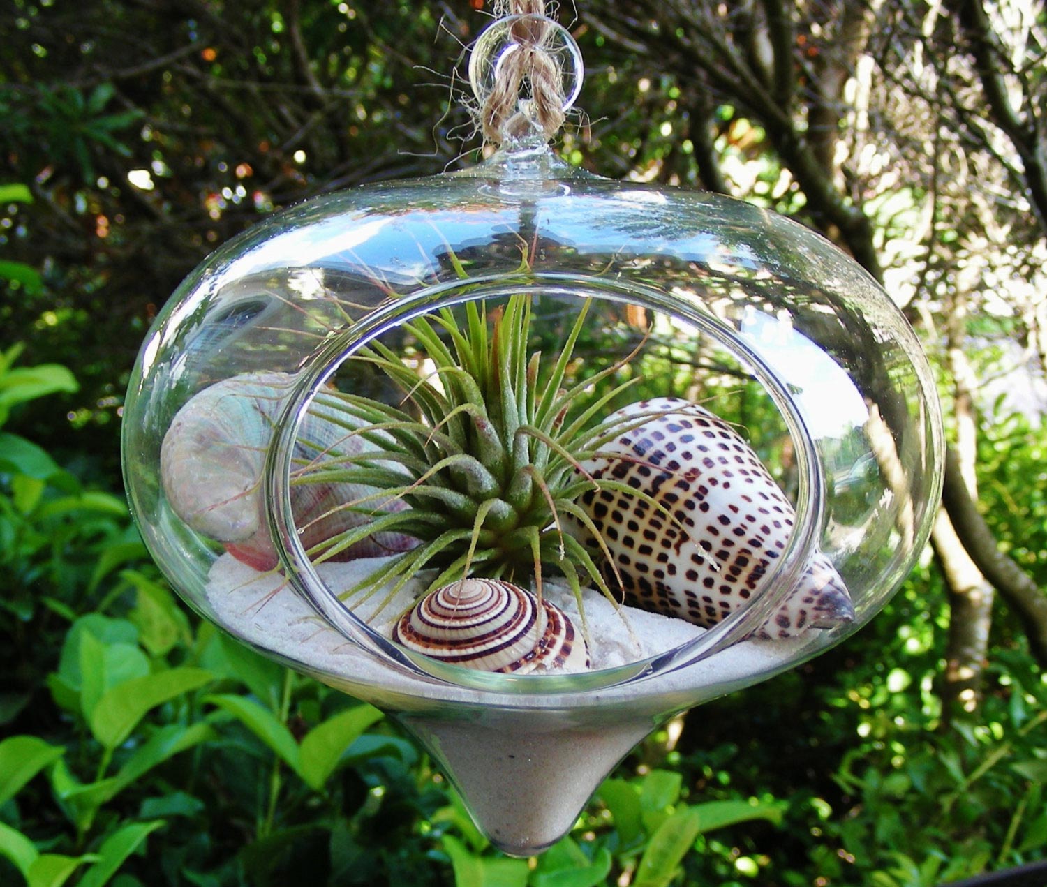 Summer Vibe With Beach Terrariums - Adorable Home