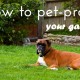 How To Pet-Proof Your Garden
