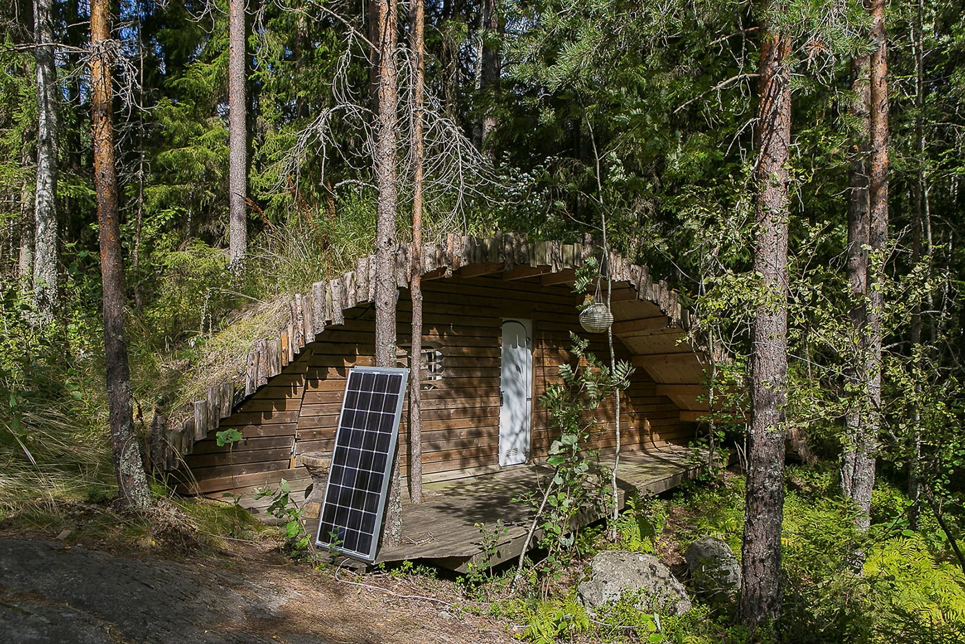 Hidden House In The Forest