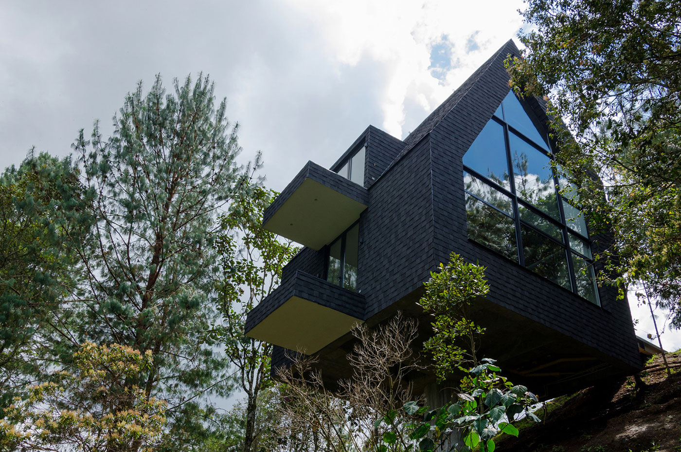 Amazing Elevated House