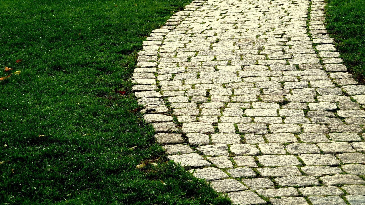 Paved Path Through The Grass