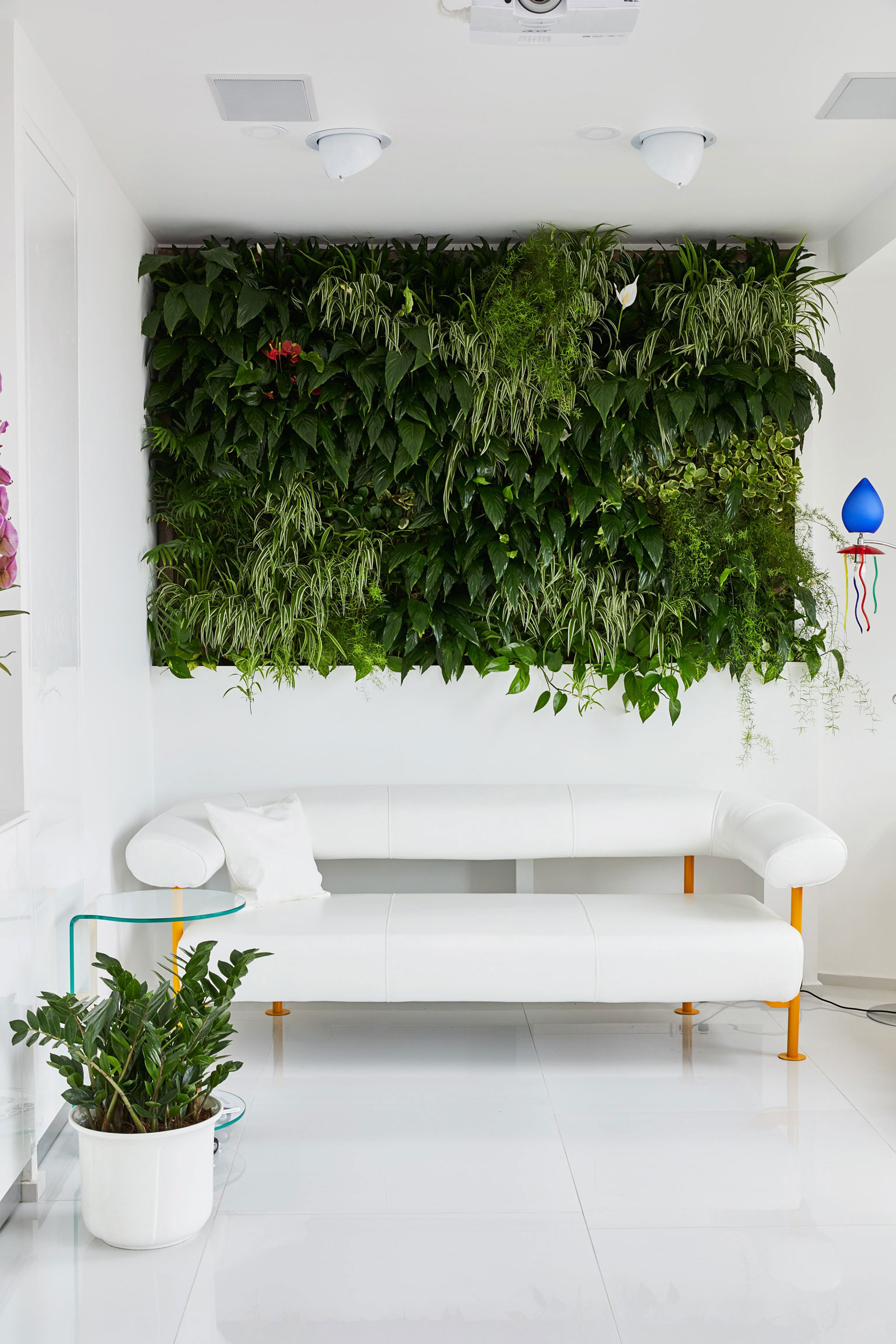 Living Green Wall