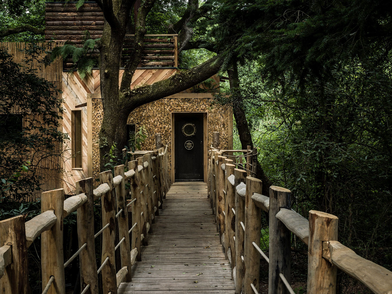 Tree House Entrance