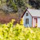 What To Look For In A Piece Of Land For Your Tiny Home