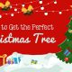 Picking The Perfect Christmas Tree For Christmas