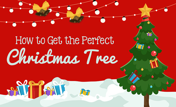 Picking The Perfect Christmas Tree For Christmas