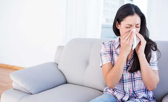 4 Most Problematic Indoor Allergens (and How to Control Them)