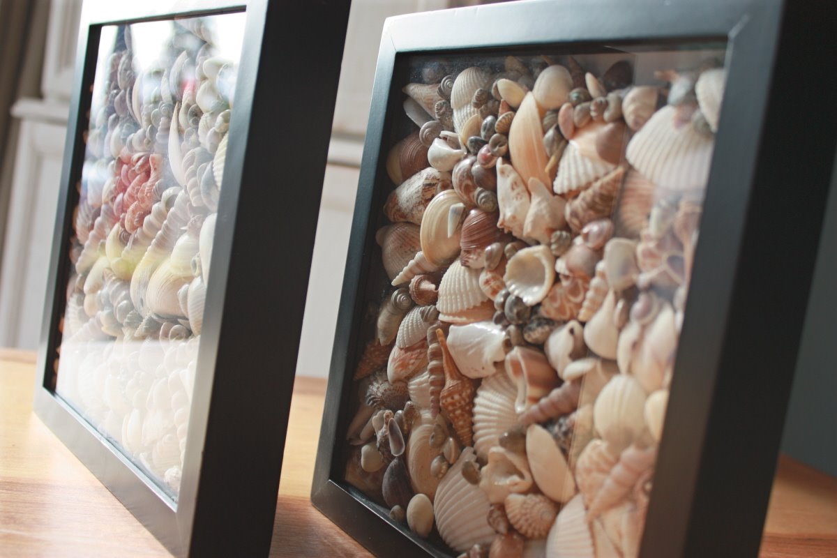 Diy Beach Inspired Home Décor-Seashell Shadowboxes