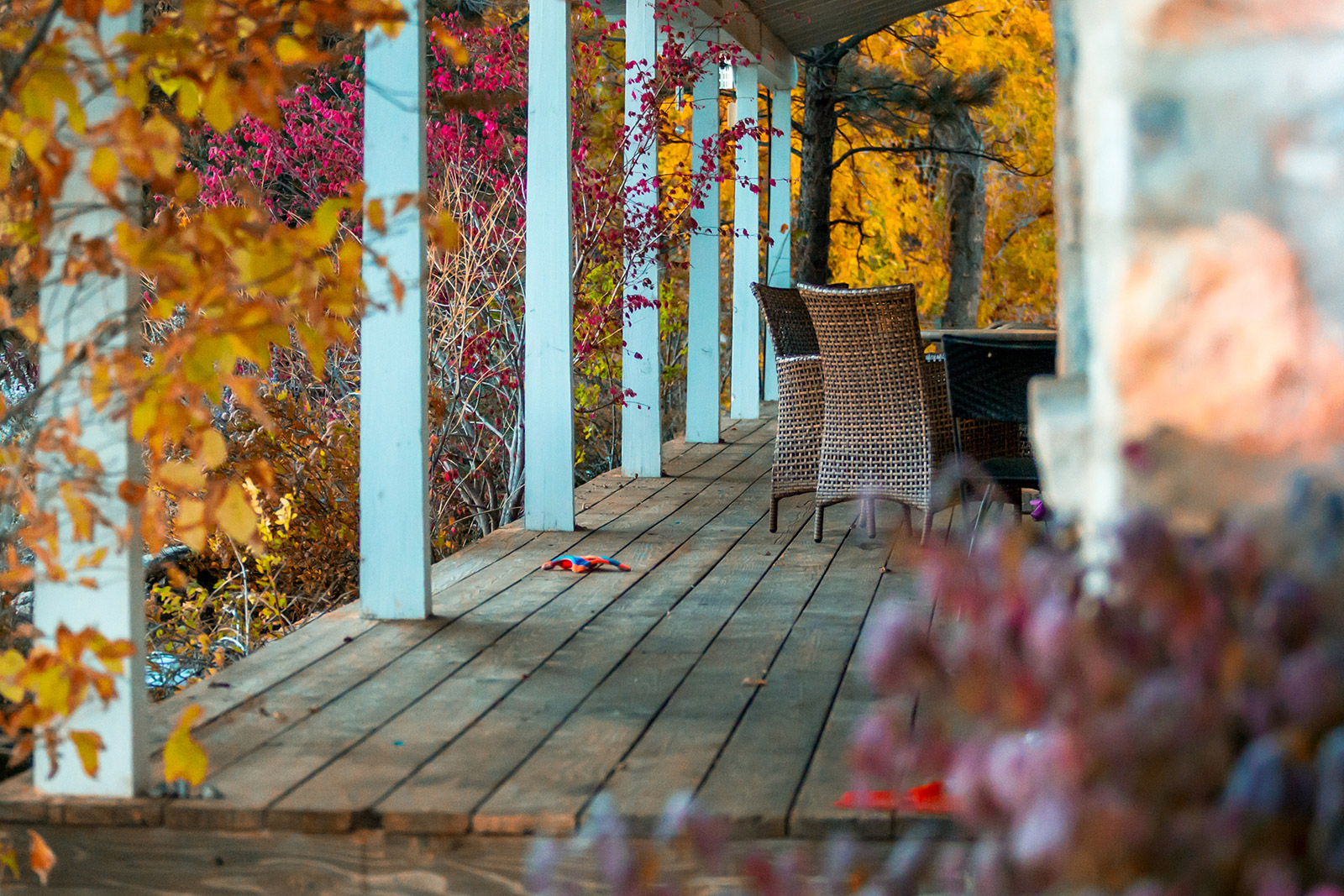 Porch During Autumn