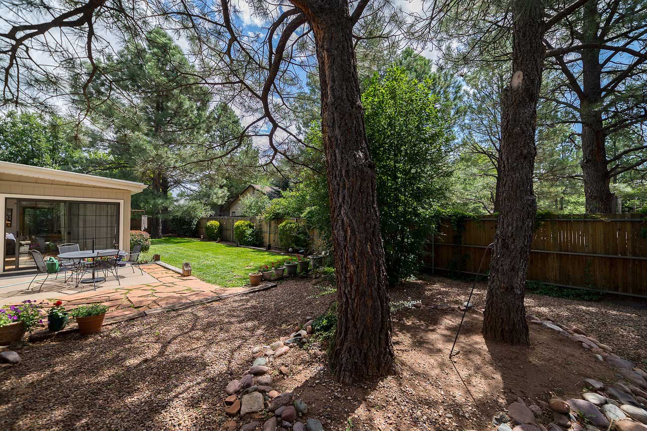 Yard With Big Trees