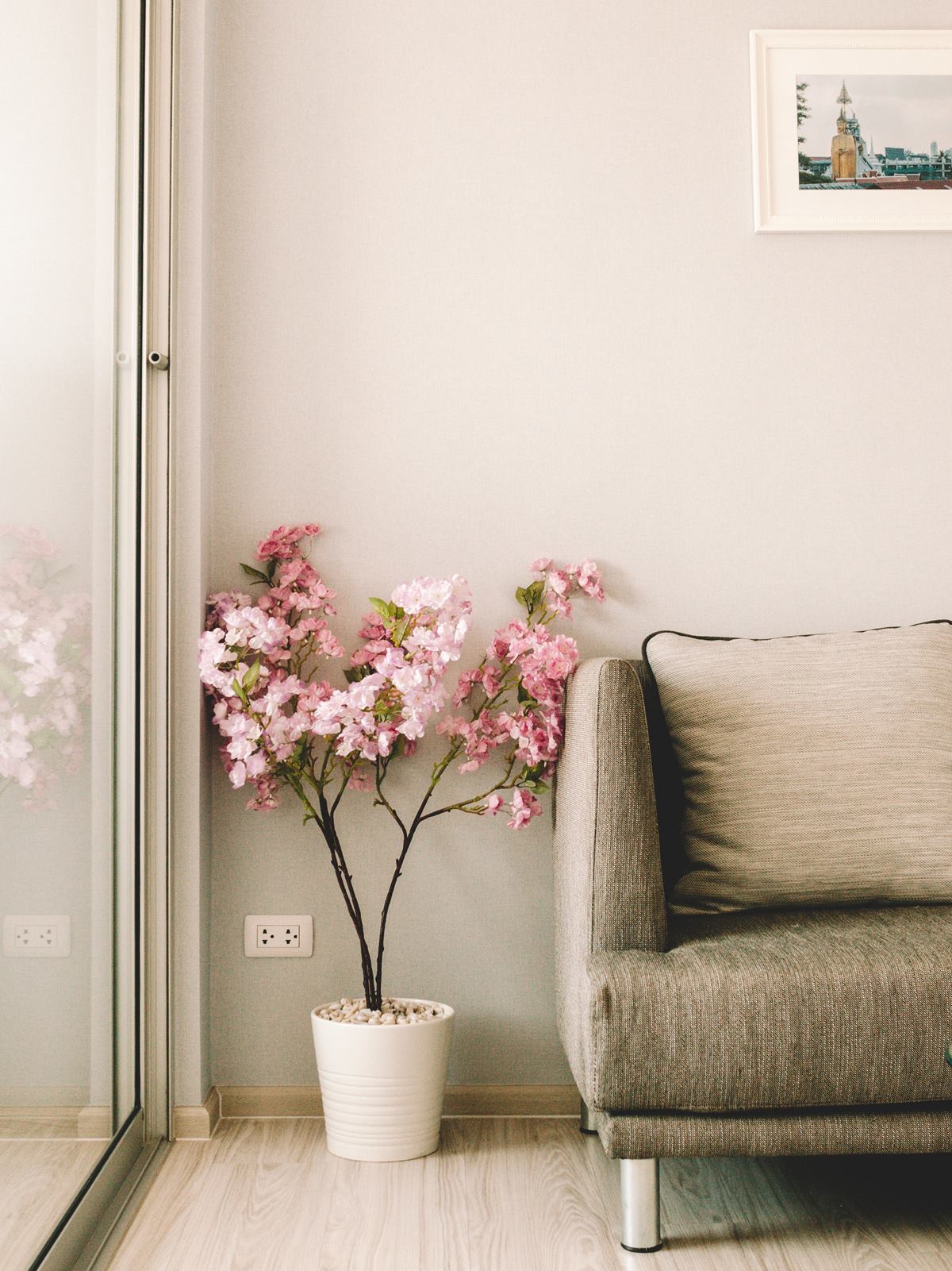 Indoor Potted Flower